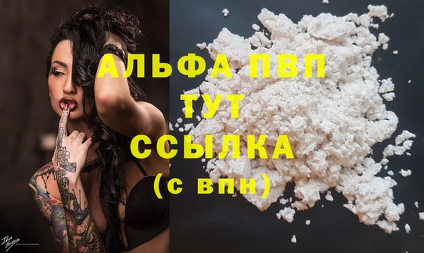 дмт Абаза