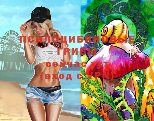гидропоника Абинск